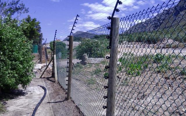 IMG_20200123_WA0001_1703323043