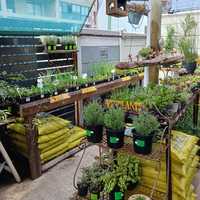 PLAASlik - Potting Soil in Gansbaai - Xplorio™ Gansbaai