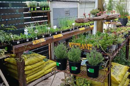 WhatsApp_Image_2023_12_20_at_08.06.45_1704351571