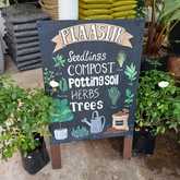 PLAASlik - Nursery in Gansbaai - Xplorio™ Gansbaai