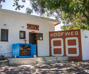 Your One-Stop Shop for Firewood, Braai Essentials, and More!