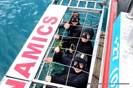 Daily Blog: 04 January 2024 | Shark Cage Diving in South Africa