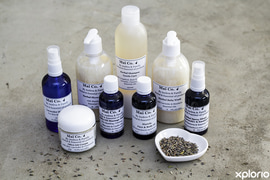 Join our Whatsapp Group