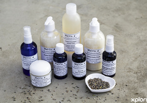 Join our Whatsapp Group