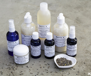 Join our Whatsapp Group