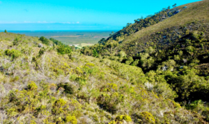 R15,000,000 | 239Ha Farm For Sale in Gansbaai Rural