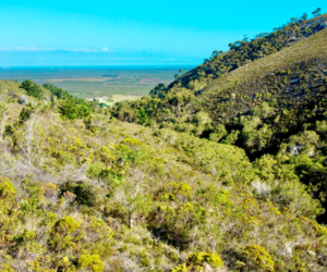 R15,000,000 | 239Ha Farm For Sale in Gansbaai Rural