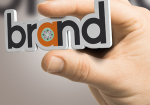 Small Business, Big Impact: HR's Role in Building Brand Excellence