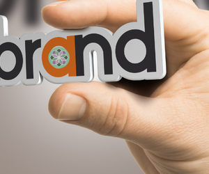 Small Business, Big Impact: HR's Role in Building Brand Excellence