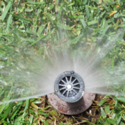 Effortless Watering Solutions: Ditch the Watering Can!