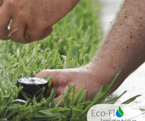 Irrigation System Inspection: Keep Your Garden Thriving!