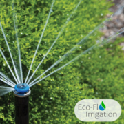 Automated Irrigation: Set and Forget with Eco-Flo!