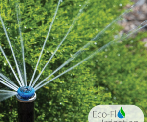 Automated Irrigation: Set and Forget with Eco-Flo!