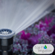 Drama-Free Gardening: Control Moisture Levels with Eco-Flo Irrigation!