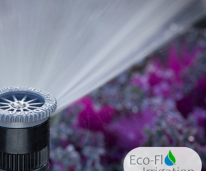 Drama-Free Gardening: Control Moisture Levels with Eco-Flo Irrigation!