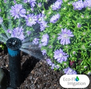 Irrigation Excellence: Nourishing Your Garden in Summer's Heat!