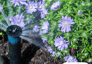 Irrigation Excellence: Nourishing Your Garden in Summer's Heat!