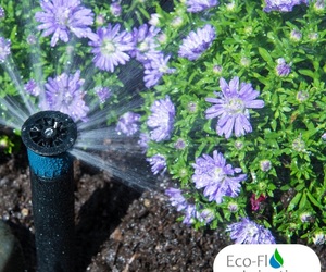 Irrigation Excellence: Nourishing Your Garden in Summer's Heat!