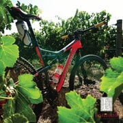 Bike and Sip at Lomond: Unleash Your Ride on Premier Mountain Trails!