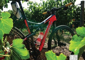 Bike and Sip at Lomond: Unleash Your Ride on Premier Mountain Trails!