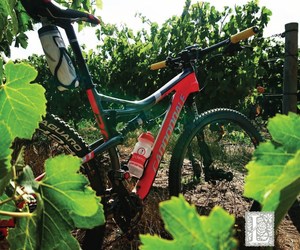 Bike and Sip at Lomond: Unleash Your Ride on Premier Mountain Trails!
