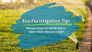 Tip: Why Timing Matters for Your Garden's Health!