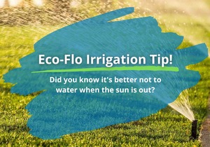 Tip: Why Timing Matters for Your Garden's Health!