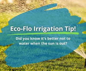 Tip: Why Timing Matters for Your Garden's Health!