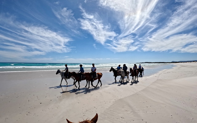 Pearly Beach Horse Trails