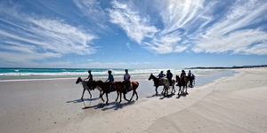 Pearly Beach Horse Trails