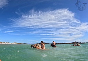 Make your top bucket list dreams come true....