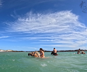 Make your top bucket list dreams come true....