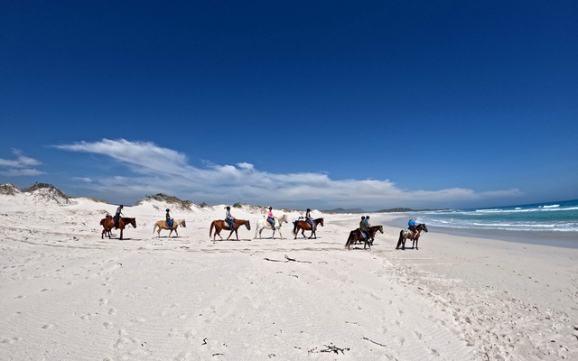 Pearly Beach Horse Trails
