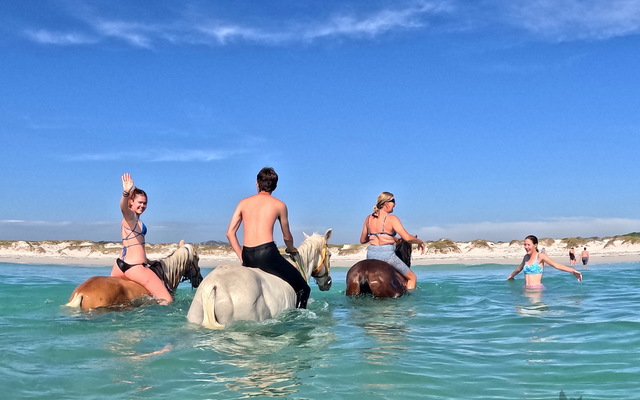 Pearly Beach Horse Trails