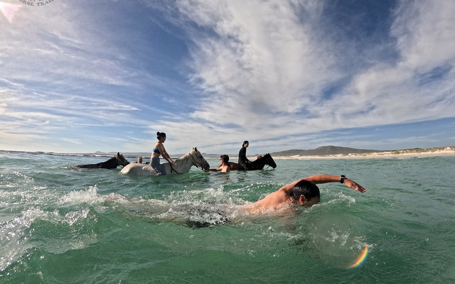 Pearly Beach Horse Trails