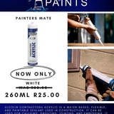 Painters_Mate_1706529197