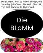 Pop-up Flower Shop Alert!