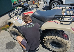 Recent Projects by Forest & Garden