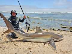 Tophengelaar in die Land - Pieter du Toit (Jnr)