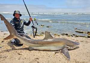 Tophengelaar in die Land - Pieter du Toit (Jnr)