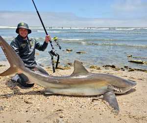 Tophengelaar in die Land - Pieter du Toit (Jnr)