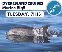 Next Dyer Island Marine Big 5 Tour: 6 February 2024