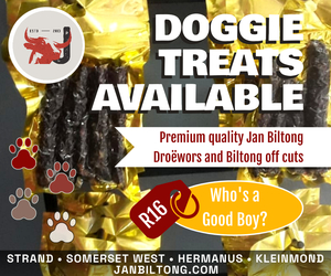 Doggie Treats
