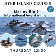 Next Dyer Island Marine Big 5 Tour: 8 February 2024