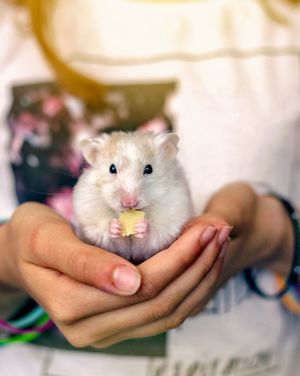 GettyImages_695407204_c2eca3e8b12149e5bb8e1f010e6b4162_1707396191