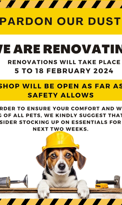 Renovations_Keiko_Pets_post_1707396604