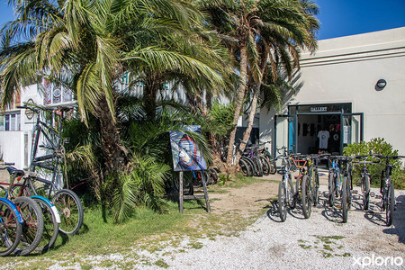 pringle_bay_speciality_stores_chadoka_art_and_bicycles_outside_view_1707396700