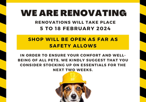 Exciting News: We Are Renovating!