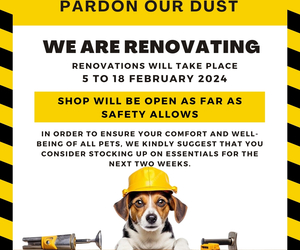 Exciting News: We Are Renovating!