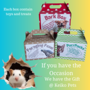 Unwrap Joy for Every Pet!